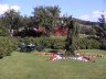 Bakke hage syd stjerne 20030810.JPG - 